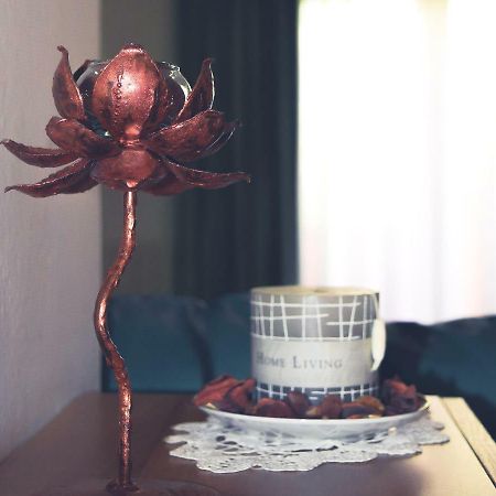 La Casa Del Viaggiatore Codrongianos Zewnętrze zdjęcie